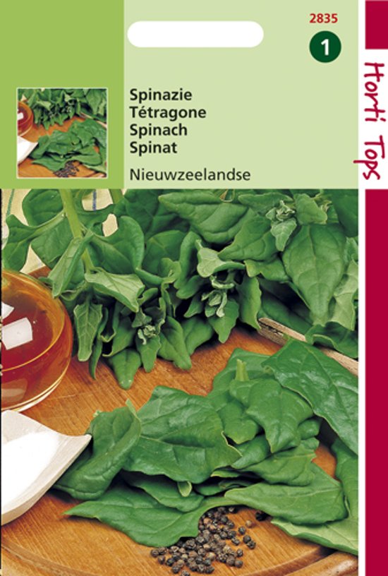 Nieuw Zeelandse spinazie (Tetragonia) 100 zaden HT